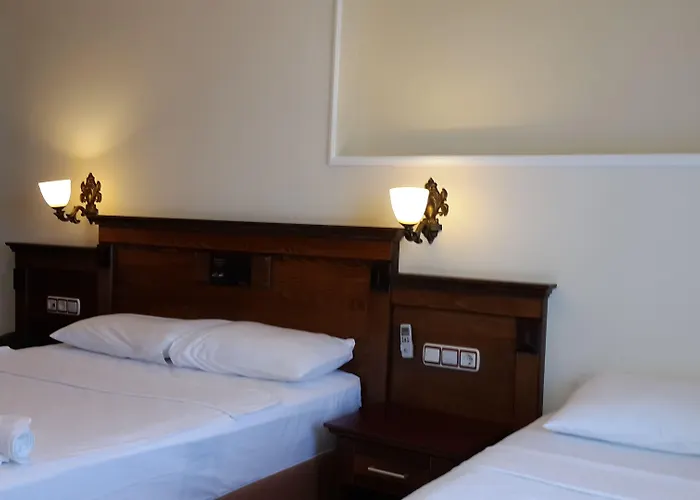 ホテル Adaburnu Goelmar Emecik